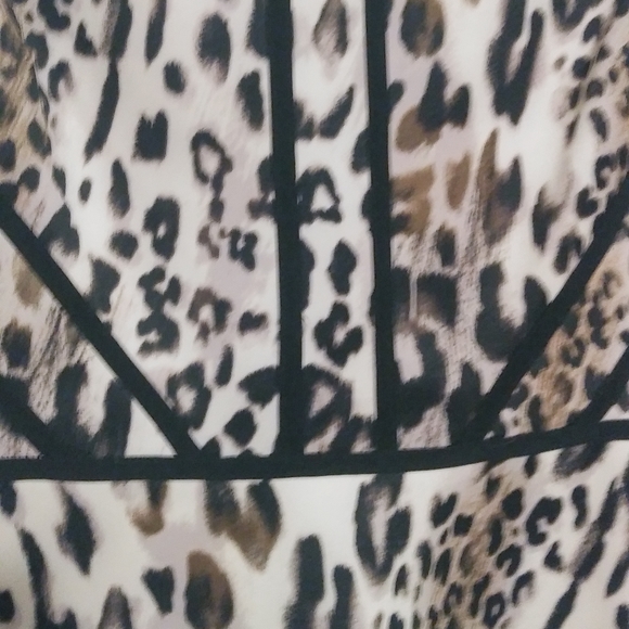 Sandra Darren Leopard Print Dress l Animal Print - Picture 5 of 8